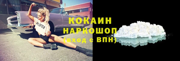 apvp Горняк