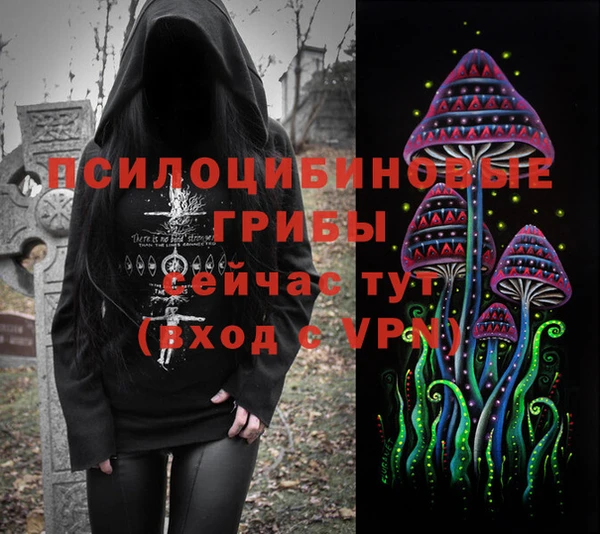 PSILOCYBIN Гусев