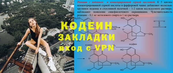 PSILOCYBIN Гусев