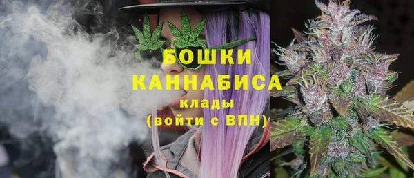 PSILOCYBIN Гусев