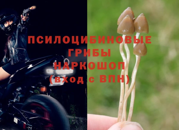 шишки Горнозаводск