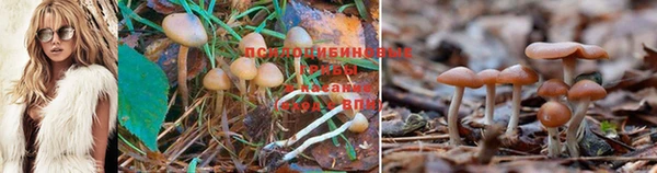 марихуана Гусиноозёрск