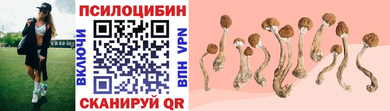 Псилоцибиновые грибы Magic Shrooms  Купить  Весьегонск 
